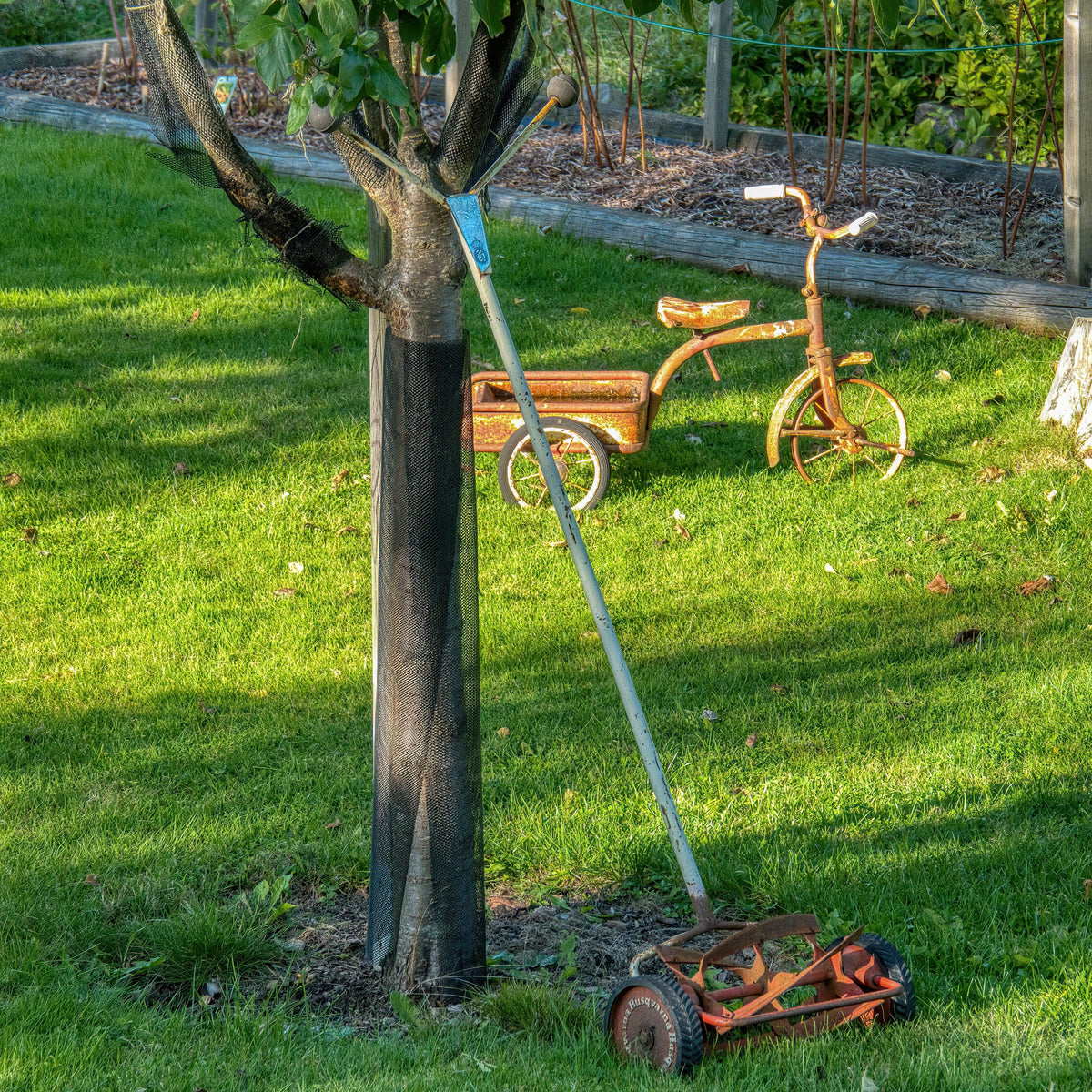 Garden & Outdoor