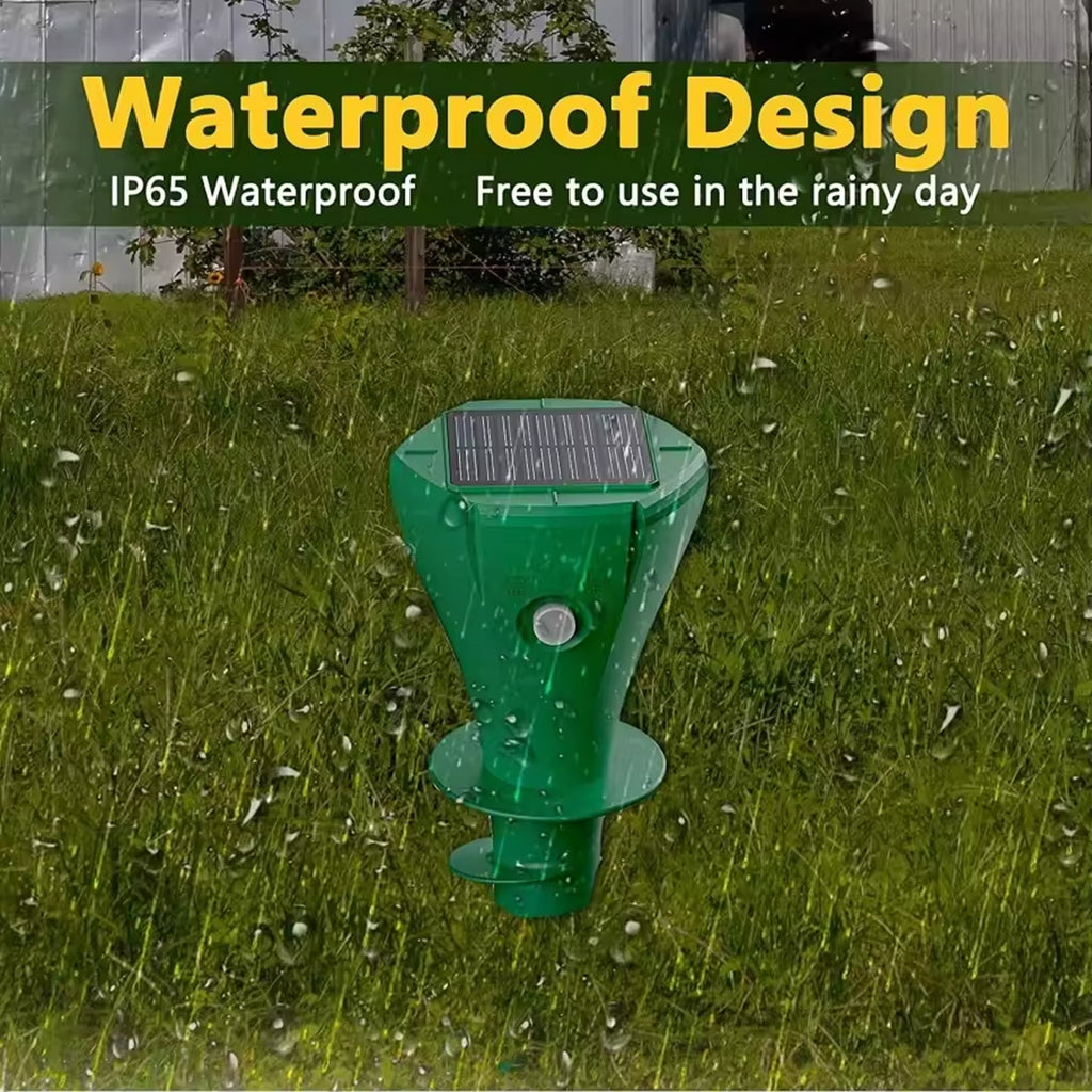 FaciRuby Pro