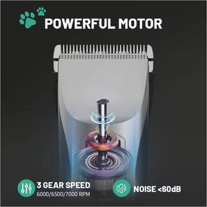 Eanmoda v3