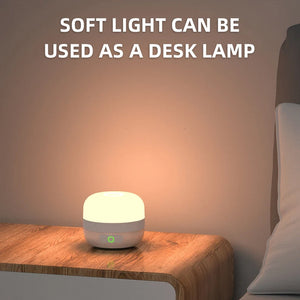 Lampterny