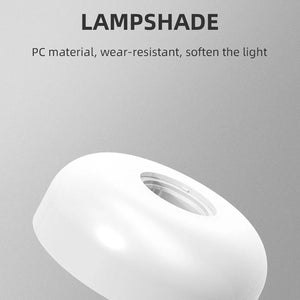 Lampterny