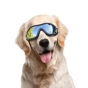 PawiShade