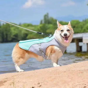 PawiVesto
