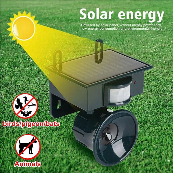 PiGoaway Solar Powered Ultrasonic Bird Deterrent for Gardens