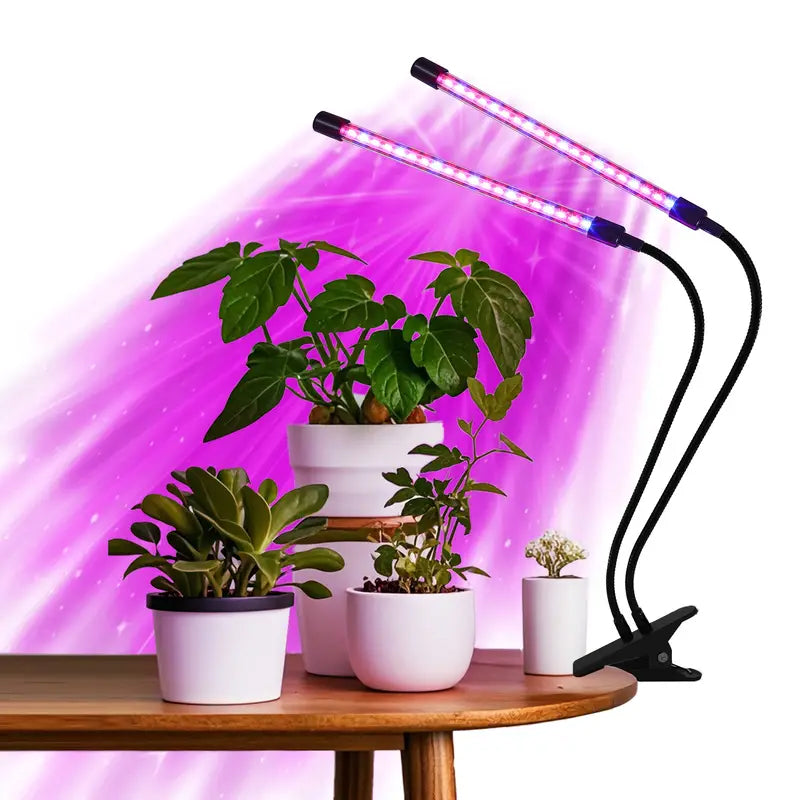 Soleepunk 1