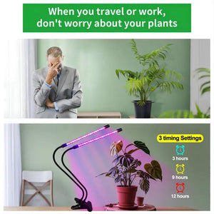 Soleepunk 1