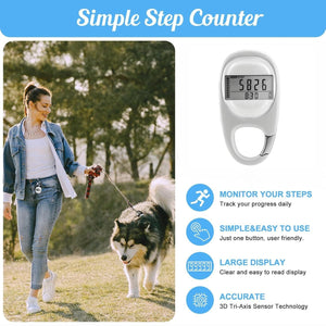 StepWizel